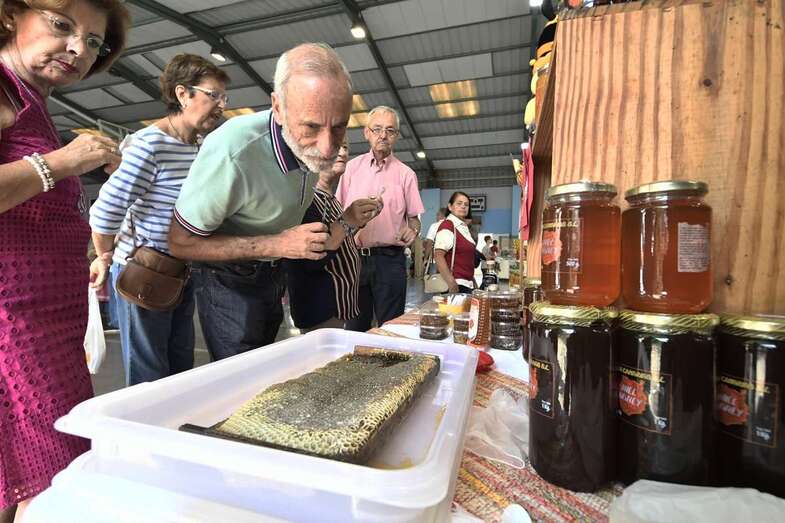 Imagen de la feria celebrada este domingo en Valsequillo (Foto TA)
